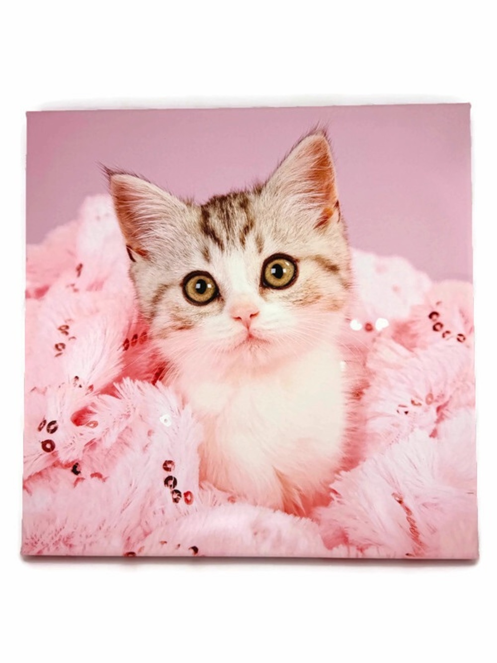 White Kitten Black Stripes Photo Canvas Wall Art with Pink Background